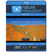 "Spring Super Bloom Relaxation" 45 MIN Dynamic Film in 4K UHD