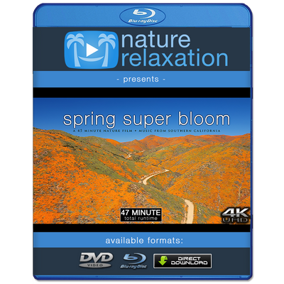 "Spring Super Bloom Relaxation" 45 MIN Dynamic Film in 4K UHD