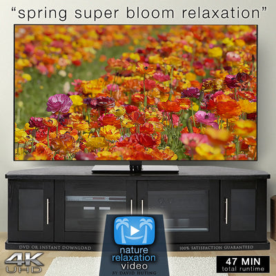 "Spring Super Bloom Relaxation" 45 MIN Dynamic Film in 4K UHD