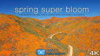 "Spring Super Bloom Relaxation" 45 MIN Dynamic Film in 4K UHD