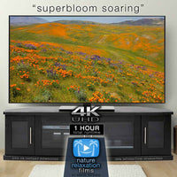 "Superbloom Soaring" Spring Bloom 1 Hour Aerial Film + Music 4K