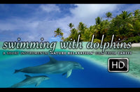 "Swimming With Dolphins" 10 MIN Dynamic Music Therapy Video HD