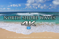 "North Shore Waves" Oahu 1 Hour 4K Static Nature Video