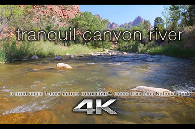 "Tranquil Canyon River" 1 HR  Static Nature Video 4K