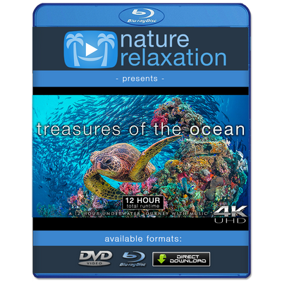 "Treasures of the Ocean" 12 Hour Film Compilation + Music 4K