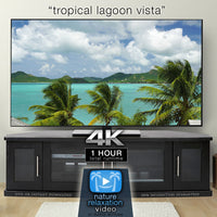 "Tropical Palm Vista" 1 HR 4K Static Caribbean Video
