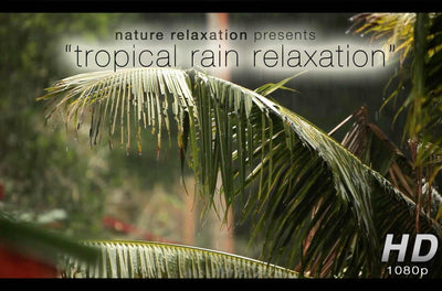 "Tropical Rain Relaxation" Nature Video 1 Hour 1080p Digital Download or Blu-Ray DVD