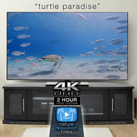 "Turtle Paradise" 2 or 8 Hour Undersea Nature Film + Music 4K