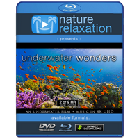 "Underwater Wonders" 2 or 9 HR Underwater Film + Music in 4K UHD