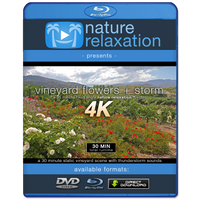 "Vineyard Flowers + Storm" 4K Static Real-Time Relaxation Video