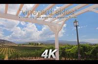 "Vineyard Skies" 1 HR Static 4K Nature Relaxation Video