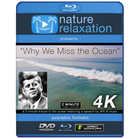 "Why We Miss the Ocean" ft. J.F.K  2 Minute Relaxing 4K Music Video